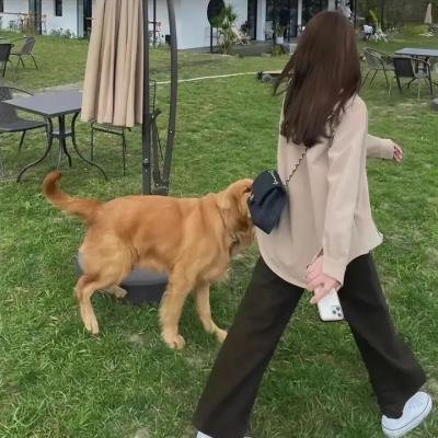 春之插曲